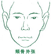 面相脸颊颚透视性格