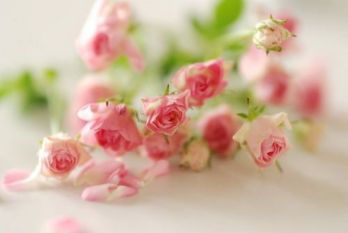 怎么样能走桃花运