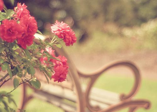 看风水数数你家有几朵“桃花”