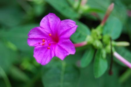 什么是五行生克？学习风水命卦五行所属